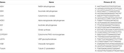 Vitreoscilla Hemoglobin Improves Sophorolipid Production in Starmerella Bombicola O-13–1 Under Oxygen Limited Conditions